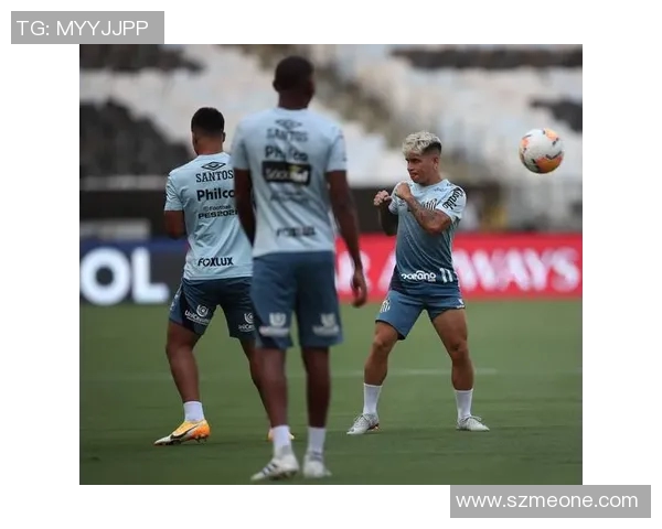 帕尔梅拉与波特诺的激烈对决揭示了南美足球的魅力与竞争力