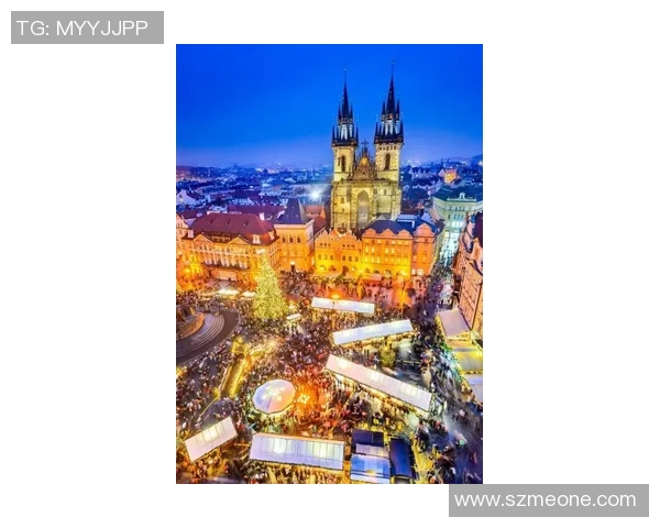 布莱克尼的魅力探寻：揭示这座城市的历史与文化之美