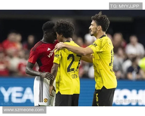 南特与沙托鲁激战正酣104场对决引发球迷热议与期待