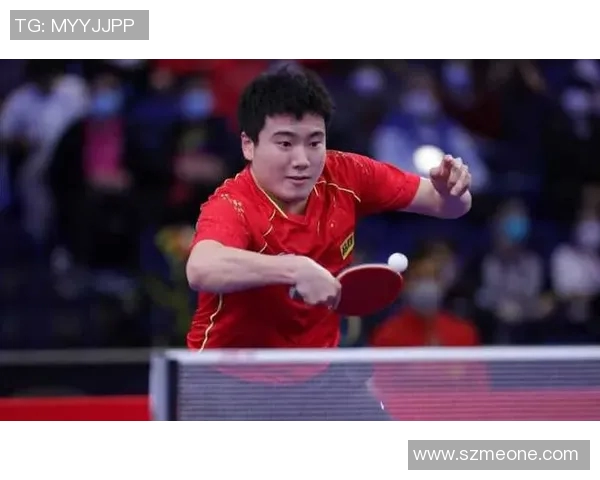 成都乒乓球队耐力训练揭秘助力运动员突破极限挑战新高峰