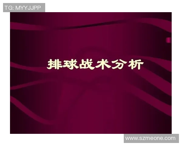 武汉排球队反击战术深度解析与实战应用探讨