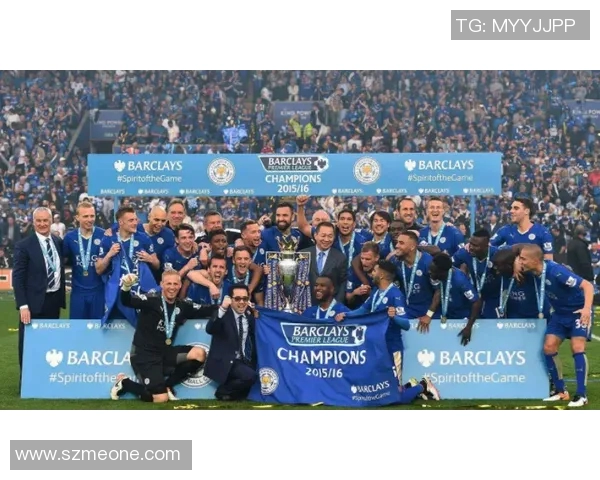 菲多与马特精彩对决视频回顾赛场瞬间与精彩时刻全记录