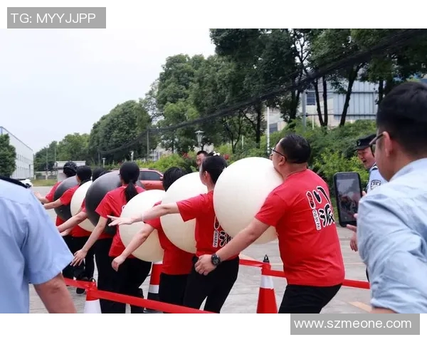 上海排球队的团队协作之道：凝聚力与默契的完美结合