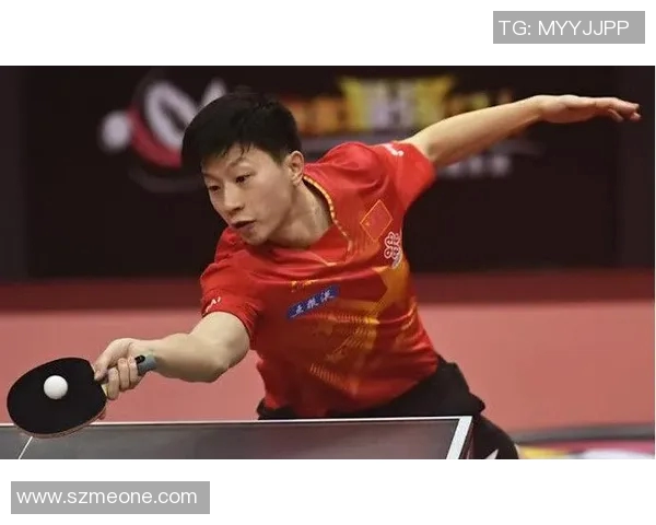 杭州乒乓球队阵地战体系的战术解析与实战应用探讨