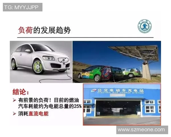 西安网球队实力分析与表现评估探讨及未来发展方向