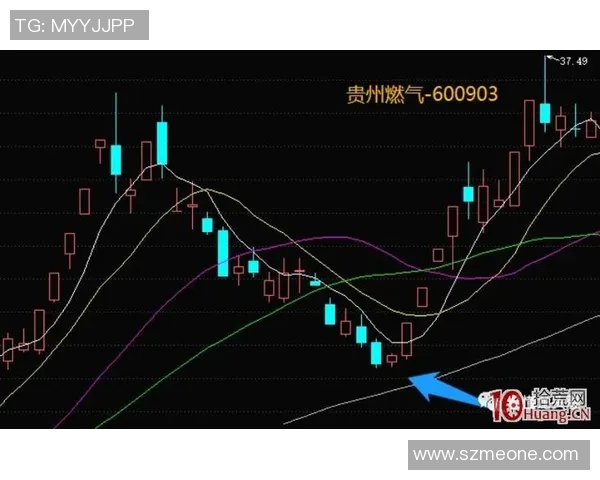 重庆排球队整体表现分析：压制优势与失误影响的深度探讨